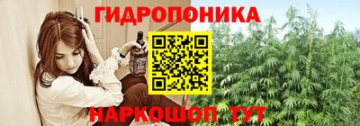 прущие крисы Славгород