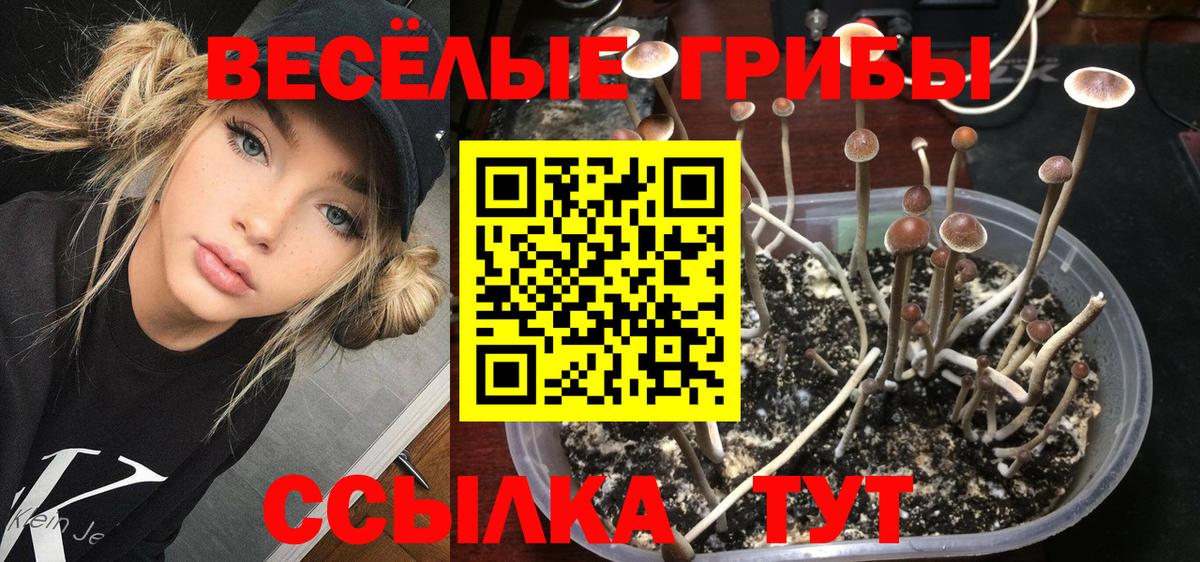 Реж  Галлюциногенные грибы GOLDEN TEACHER  Вход с VPN 