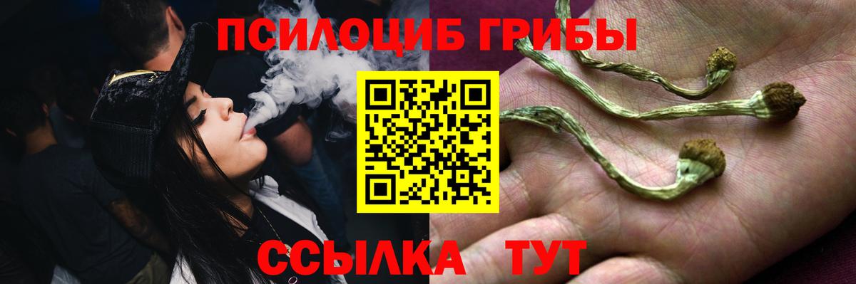 Псилоцибиновые грибы Magic Shrooms Реж